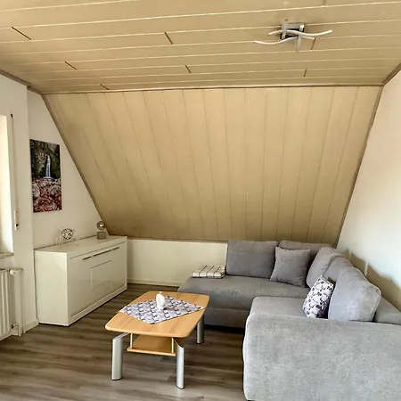 Daire Kirsche Achern